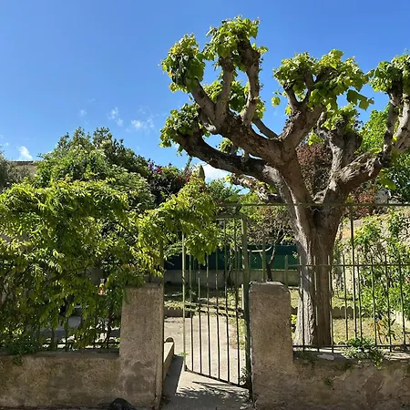 Douce Parenthese Apartament Carcassonne